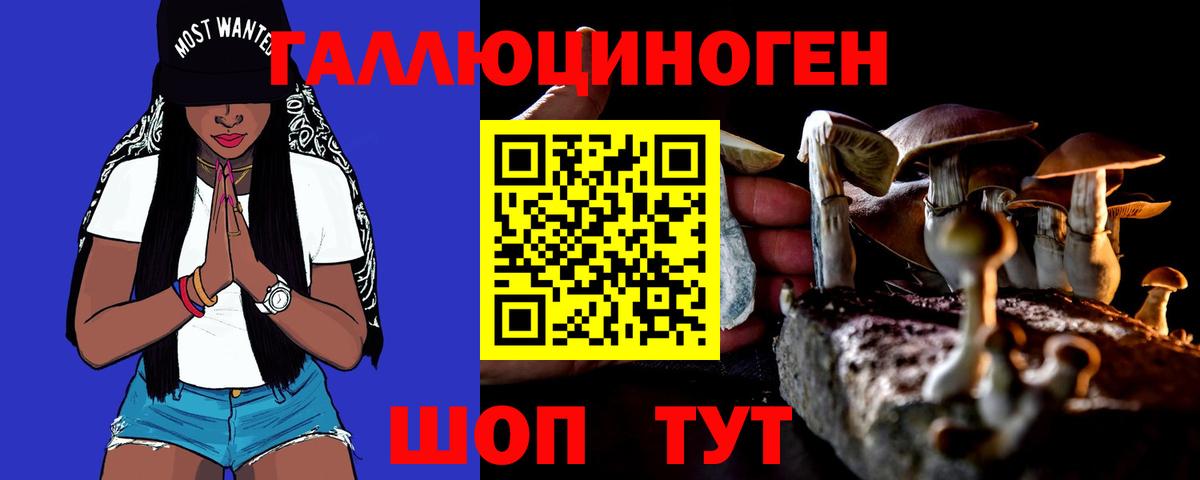 как найти закладки  Вход с VPN  Киселёвск  Псилоцибиновые грибы мухоморы 