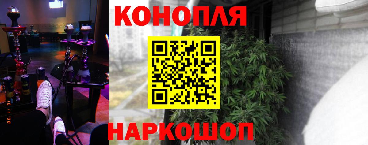 Конопля индика Киселёвск